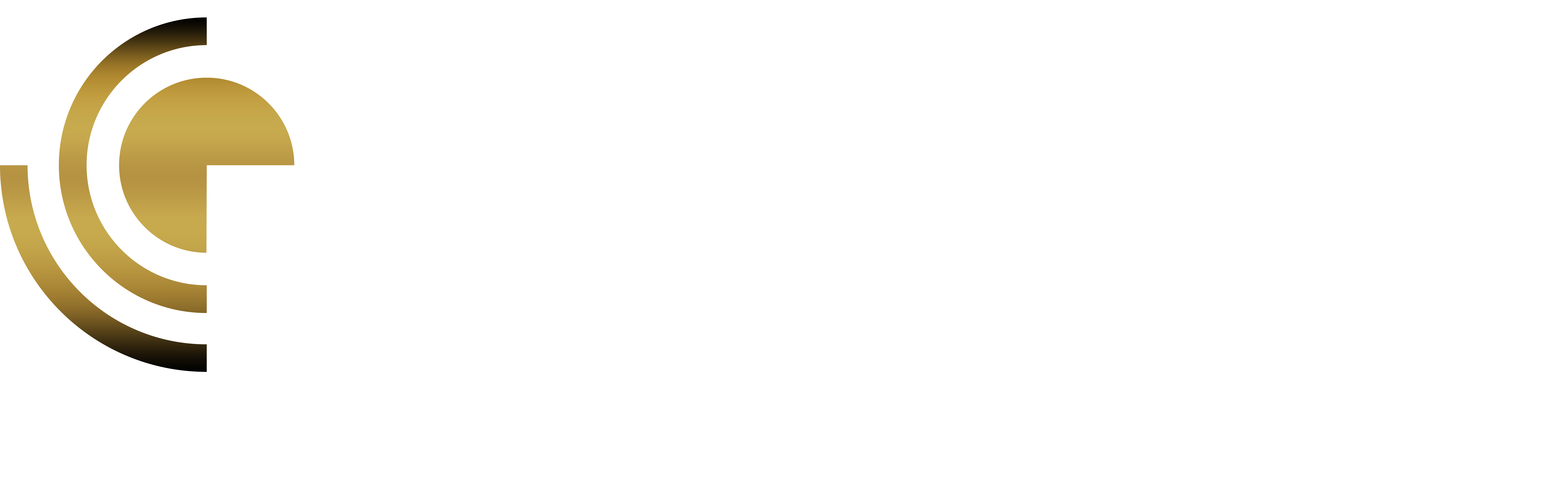 AV Design Pro