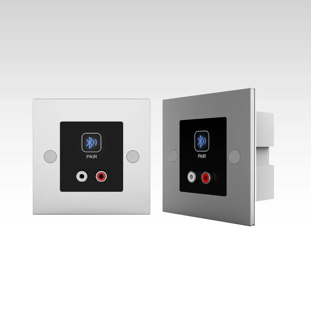 BT22D Dante Converter Wallplate panel